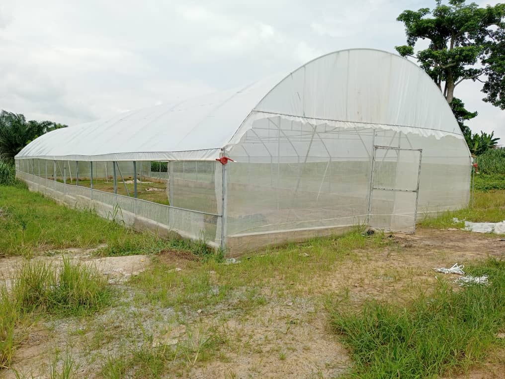 Alépé — serre de 300 m²