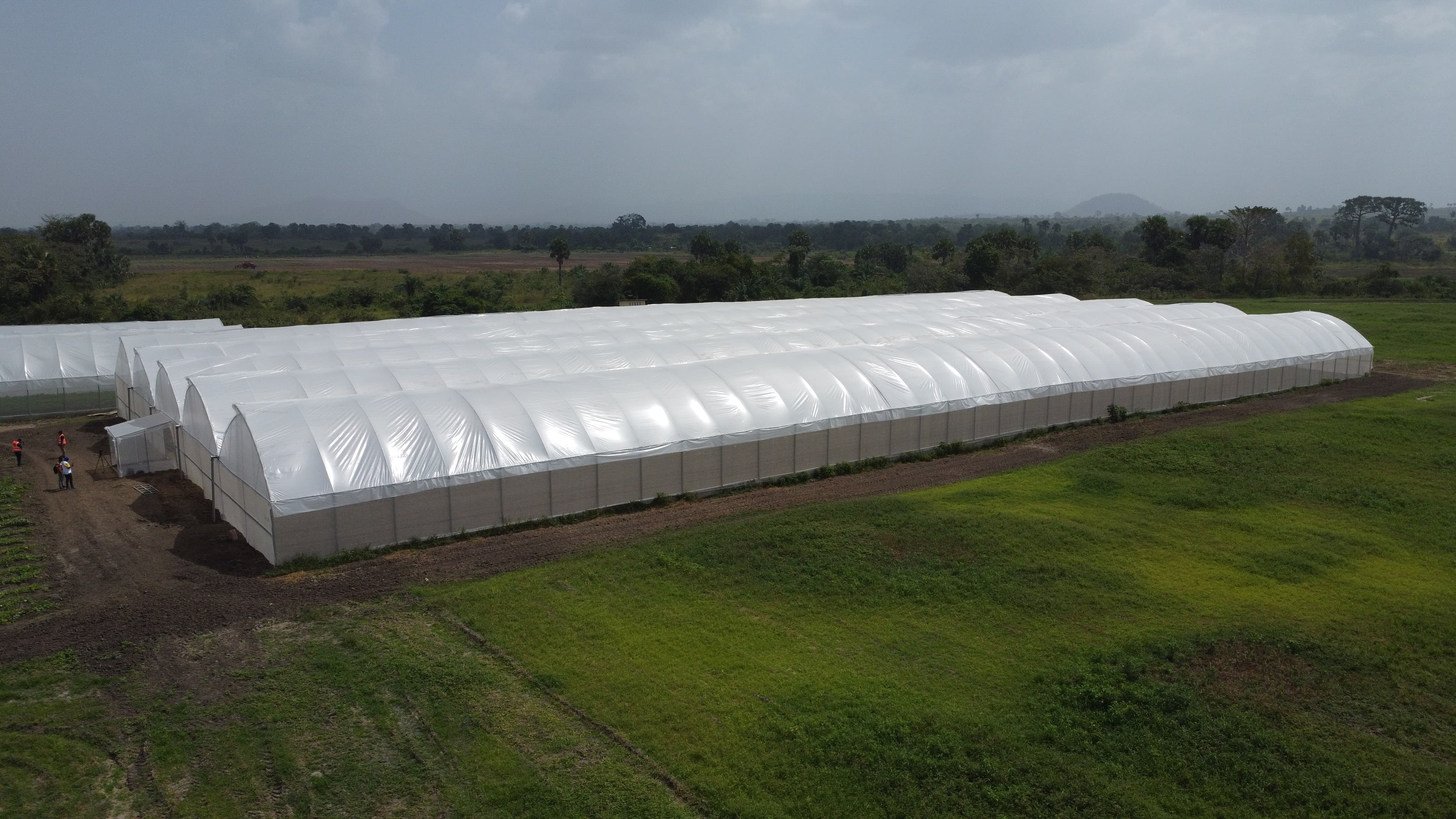 Assounvoué — serre de 5 000 m²