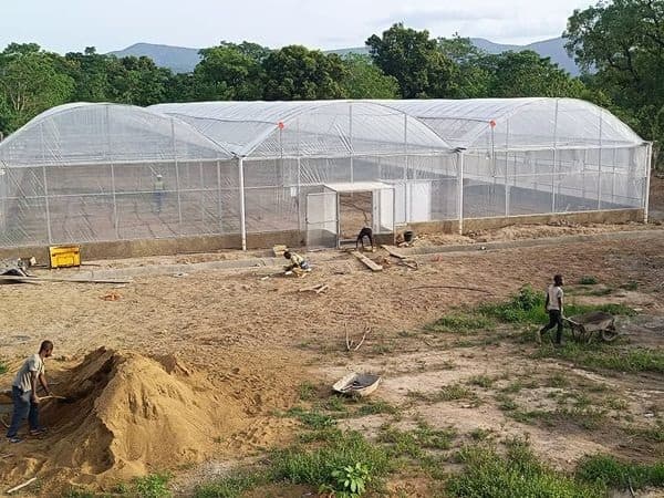Guinée — 2 serres multichapelles de 1 250 m²