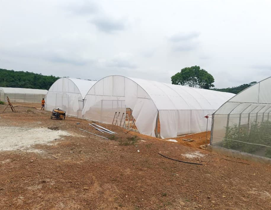 Yakassémé — 2 serres de 500 m² et une pépinière
